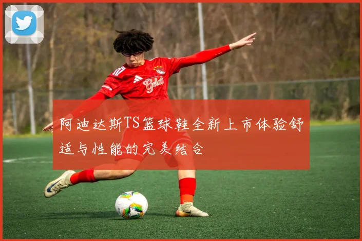 阿迪达斯TS篮球鞋全新上市体验舒适与性能的完美结合