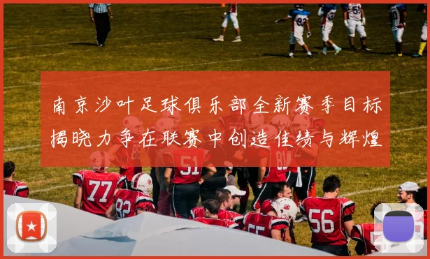 南京沙叶足球俱乐部全新赛季目标揭晓力争在联赛中创造佳绩与辉煌