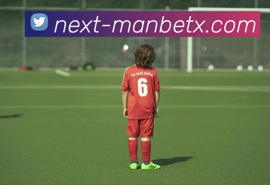 互动解说服务